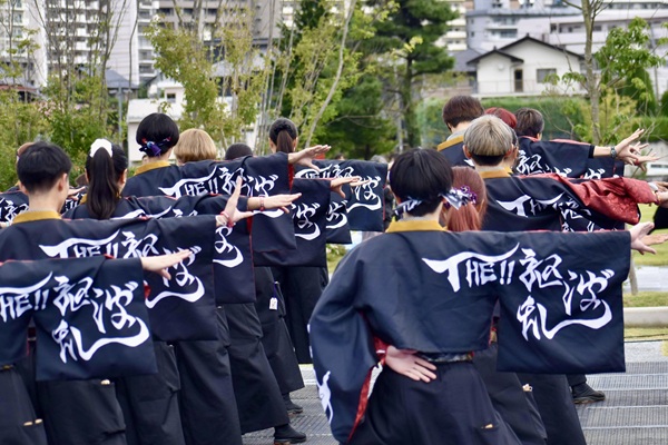 Free Template by colorlib.com